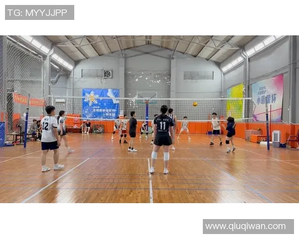 深圳排球队在钻石联赛中的战术表现分析与点评