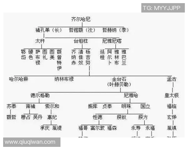 纳兰足球明星全名汇总及其成就分析与推荐