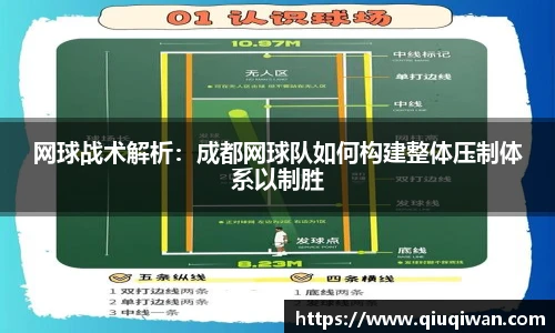 bsports官网入口