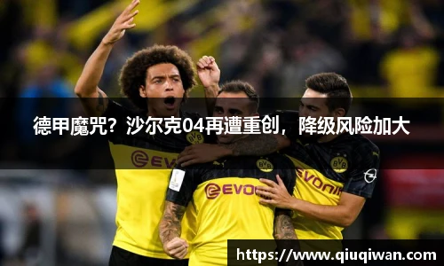 B体育bsports