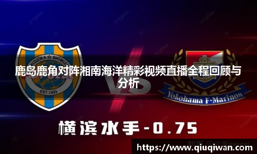 bsports官网入口